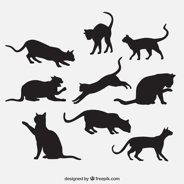 Cat breed silhouettes