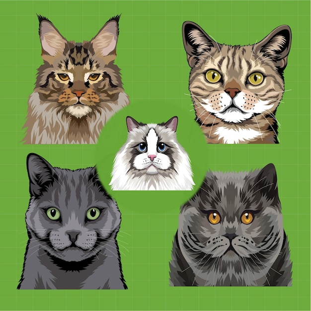 Cat Breeds Sublimation Vector Bundle Dog Head Art Set Dogs Face Icon