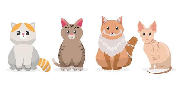 cat cartoon pet characters illustration