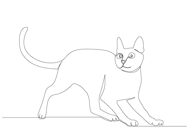 Cat drawing by one continuous line sketch