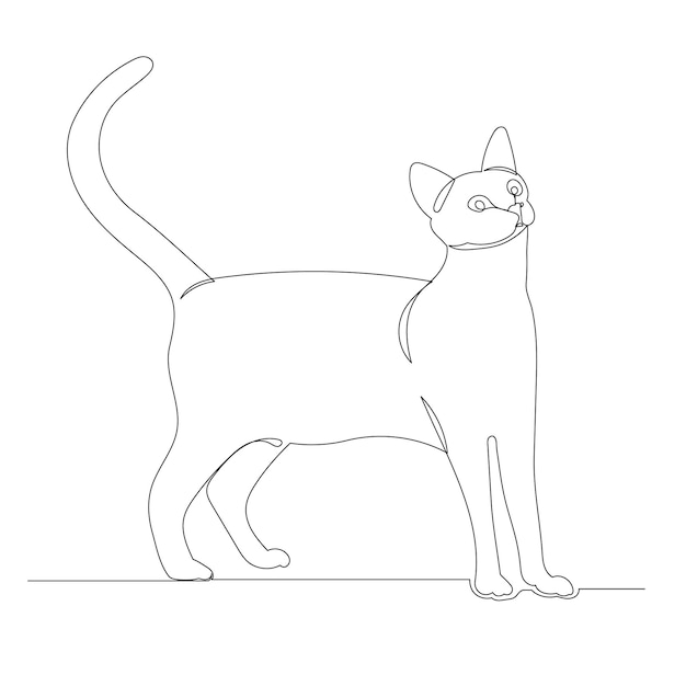 Cat drawing one line  vector