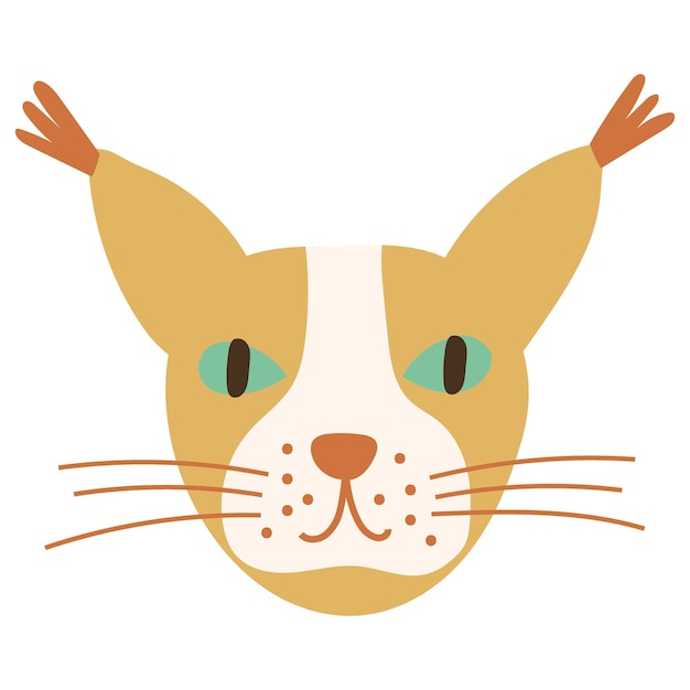 Cat Face Portrait Maine Coon Vector illustration