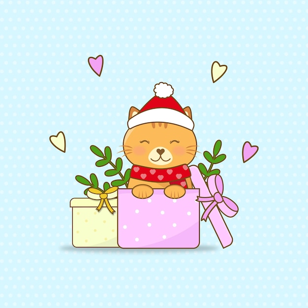 Cat Gift