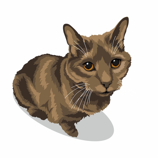 cat illustration