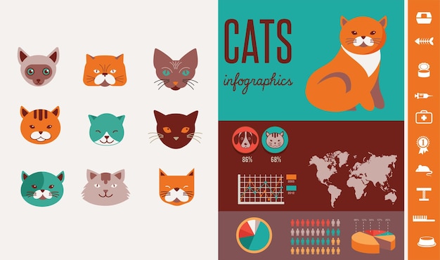 Cat infographics with icons set