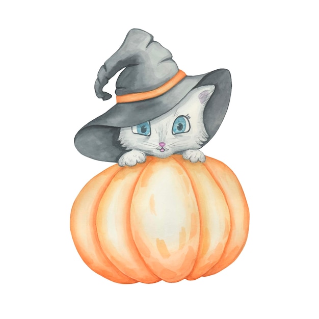 The cat looks out from behind the pumpkin. A witch's hat on a seal. Halloween Celebration