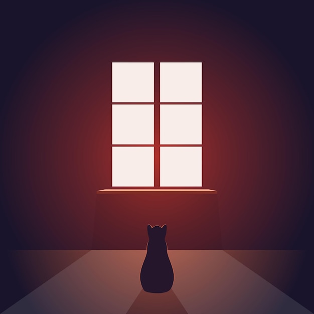 Vector cat looks out window empty evening or night room with light from window on floor pet miss concept