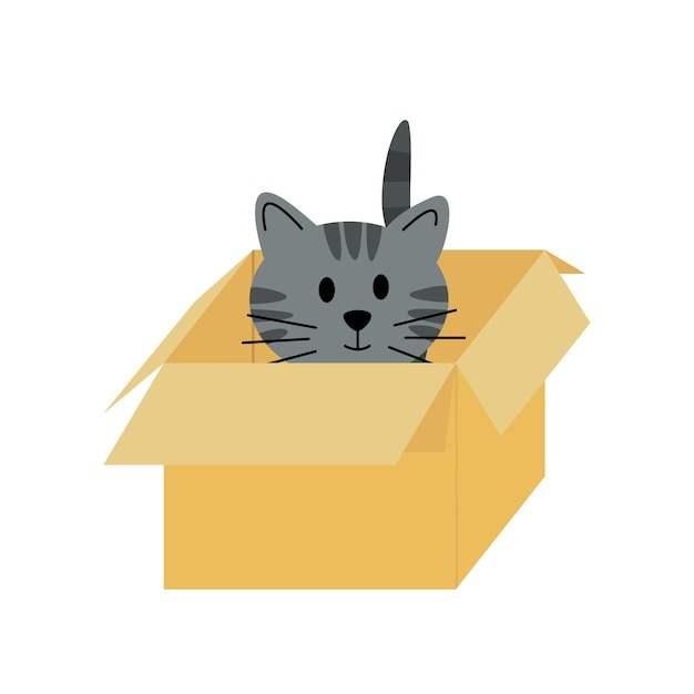 Vector cat in pasteboard box kitten flat cartoon vector