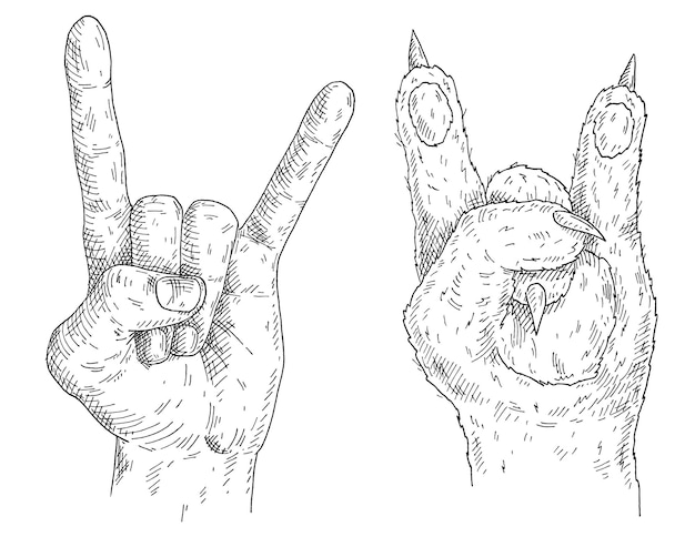 Cat paw and human hand show sign Rock and Roll. Vintage vector monochrome hatching illustration isolated on white background. Design for t-shirt