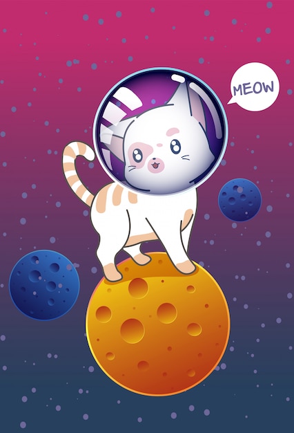 Cat on the planet in space.