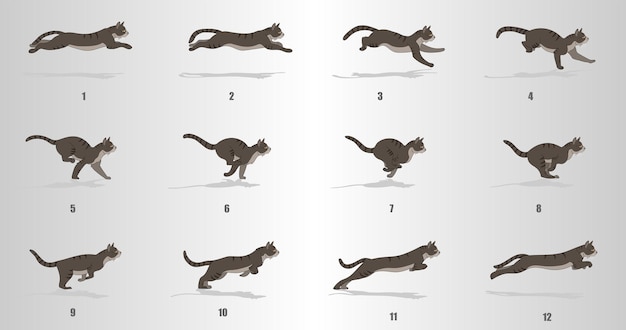 Cat Run cycle animation sequence