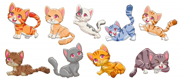 cat  set clipart 