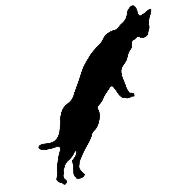 Cat silhouette cat vector cat illustrator on a white background