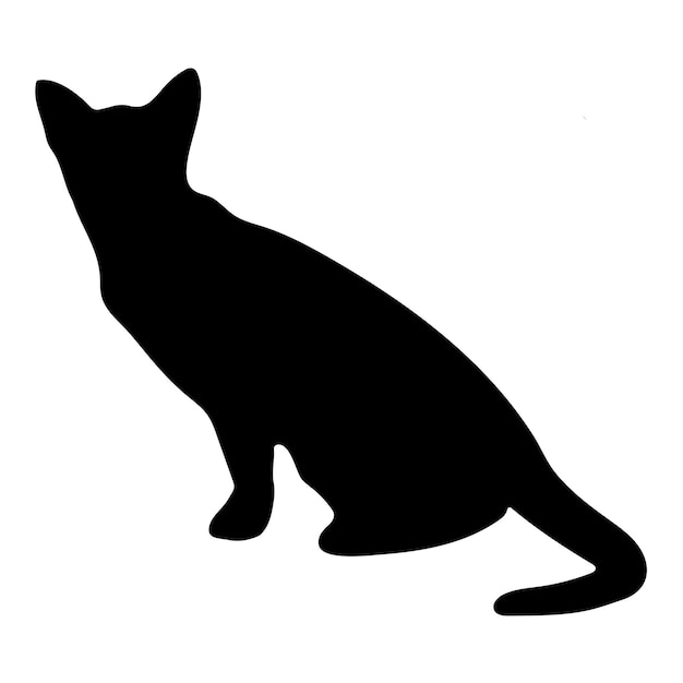 Cat silhouette having fun sitting cat standing cat vector image