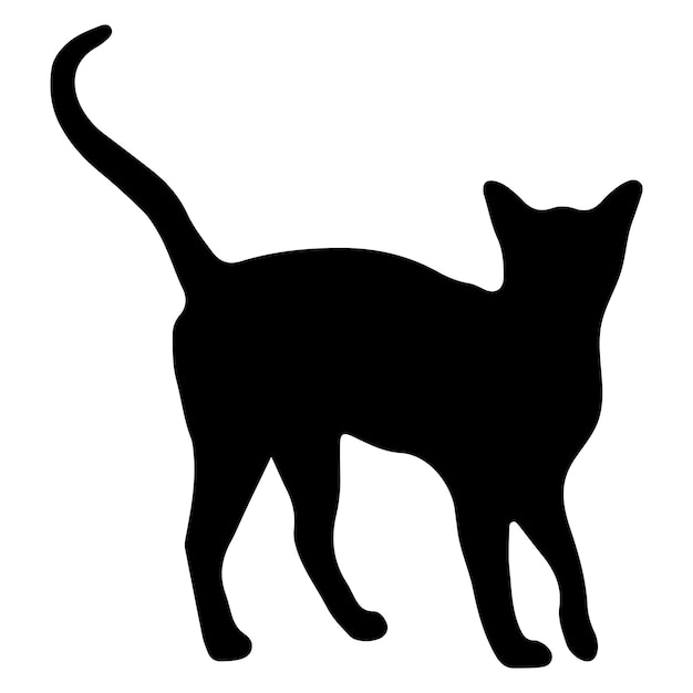 Cat silhouette standing or walking with tail up