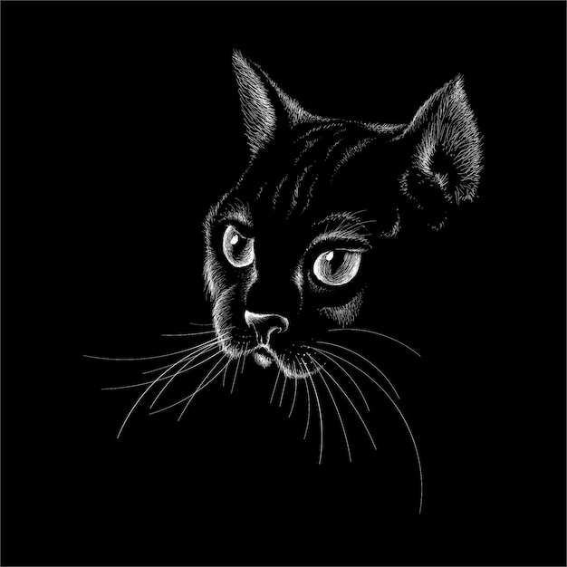   cat for tattoo or T-shirt design or outwear.  Cute  style cat 