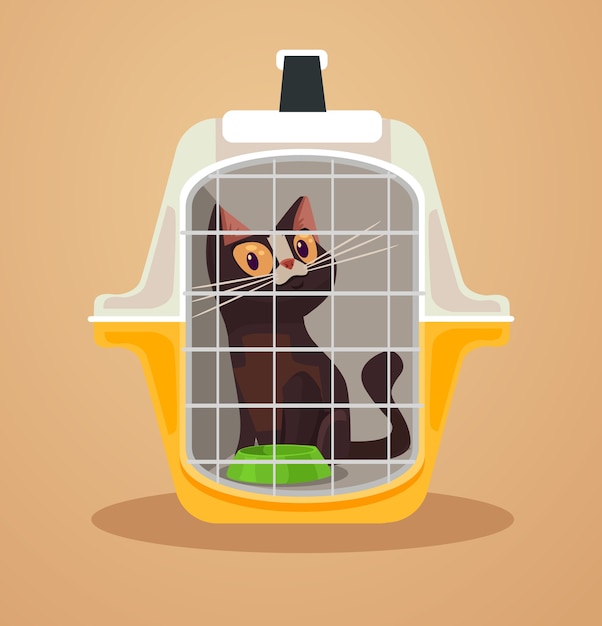 Vector cat transport box carrying case illustration