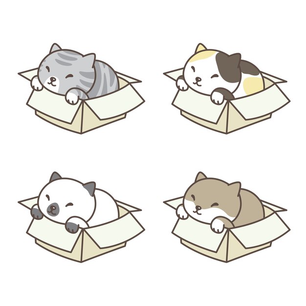 cat vector calico icon logo kitten box cartoon illustration