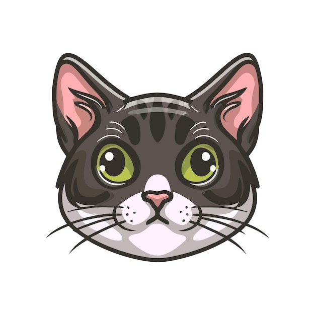 cat vector illustration