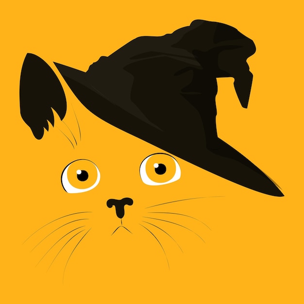 Cat in witch hat