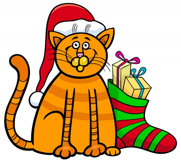 cat with gifts on Christmas time