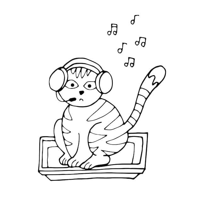 Cat with the player listens to music