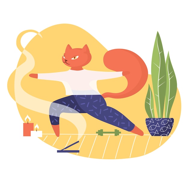 Vector cat and yoga isolated funny cute animals candles plants dumbbell smoke