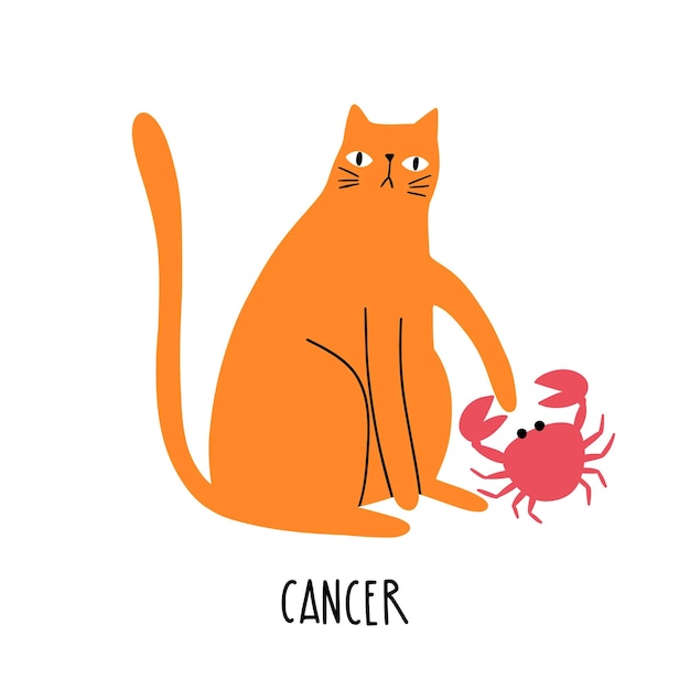 Cat Zodiac Astrology Sign Cancer Hand draw style Vector illustration zodiacal symbols