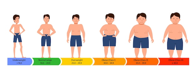 Categories with body mass index male silhouettes with a thick normal and slender figure