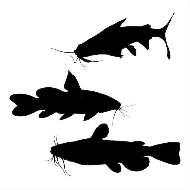 Vector catfish silhouette