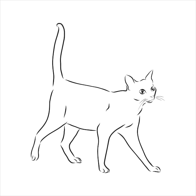 Cats, black lines. Linear design. Cats, vector illustration.cat