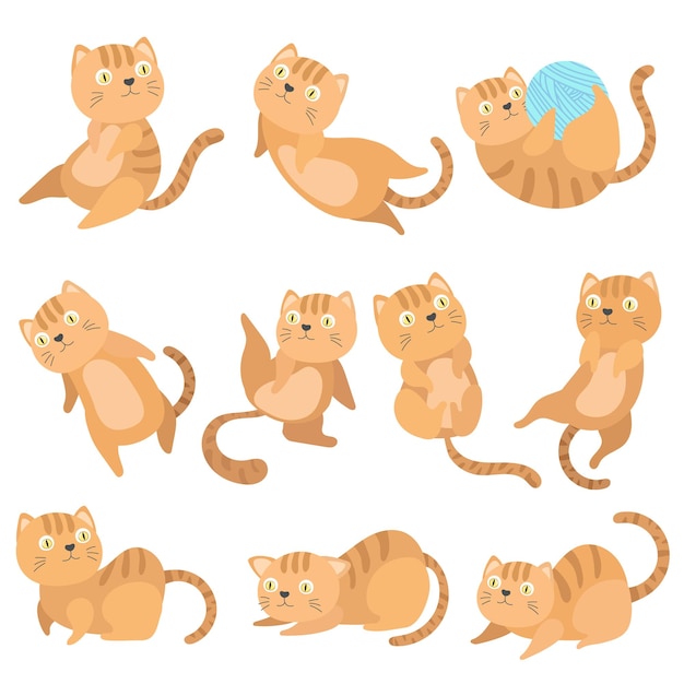 Cats cartoon in flat style