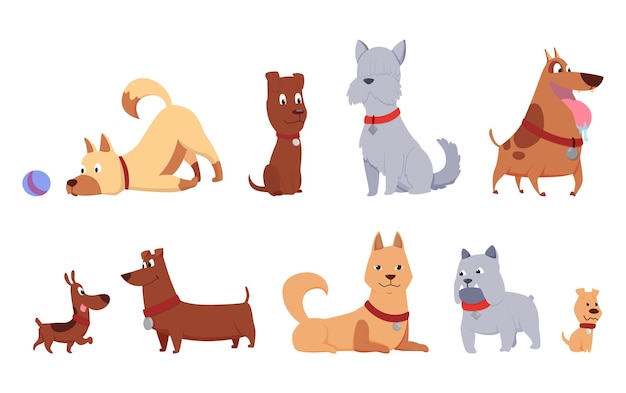 Cats and dogs friends collection. Different kinds of together sitting, lying, playing or walking isolated on white background. Funny flat cartoon colorful friendship pets set. Vector illustration