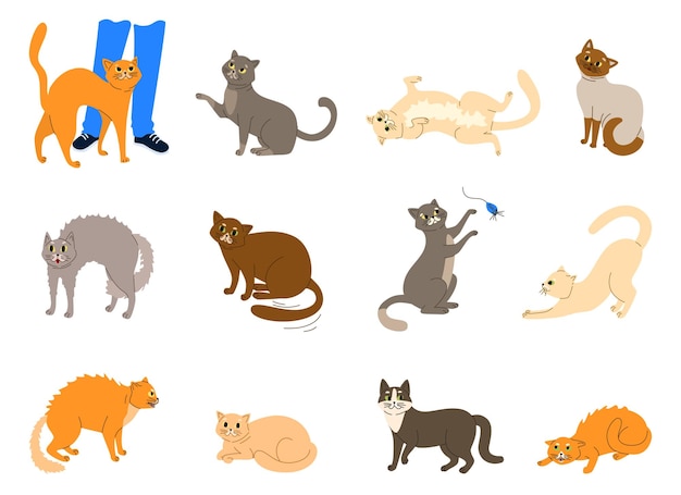 Cats emotions body language set flat isolated vector illustration