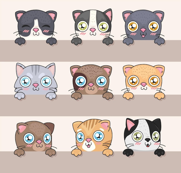 Cats faces set