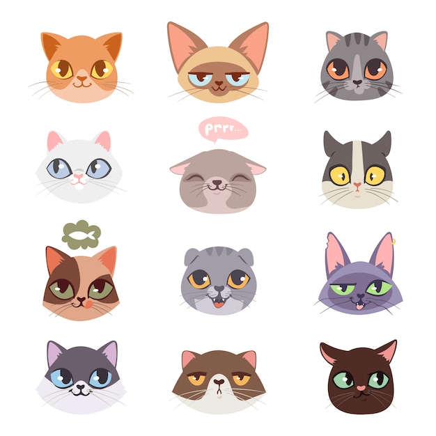 Cats heads illustrations set