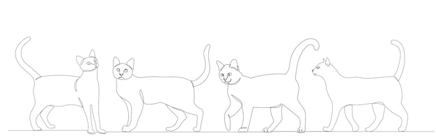 Cats one line drawing on white background, vector, isolated