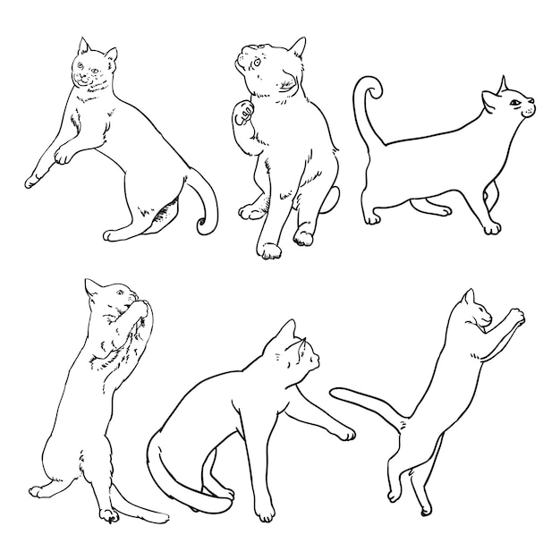 Cats Outline vector pack