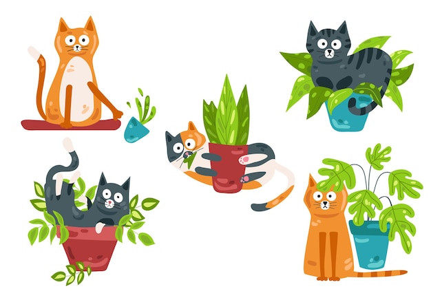 Cats play with potted flowers Joker cats Vector illustration