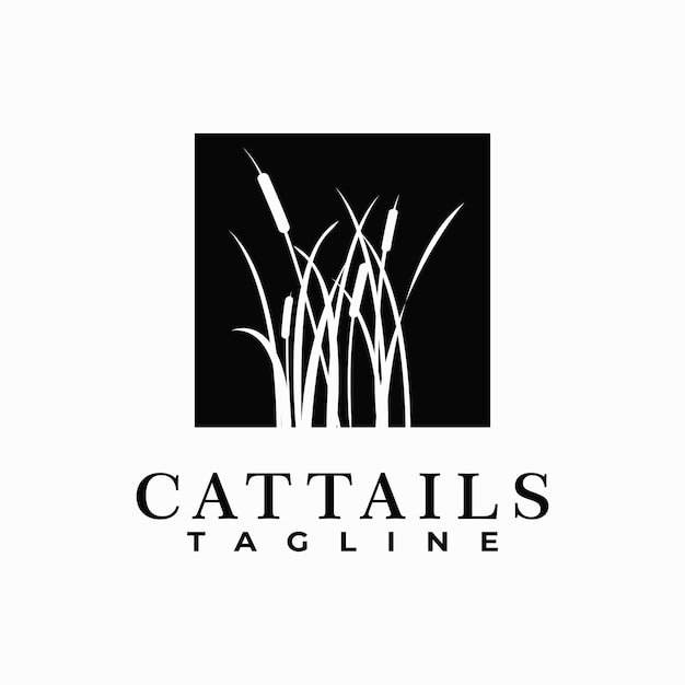 cattails plant vector template. reed grass. water plant graphic illustration.