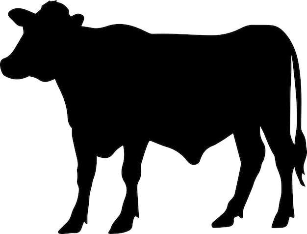 Cattle vector silhouette illustration 8