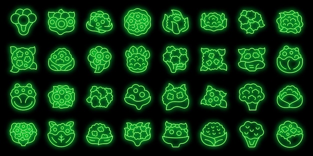 Cauliflower icons set vector neon