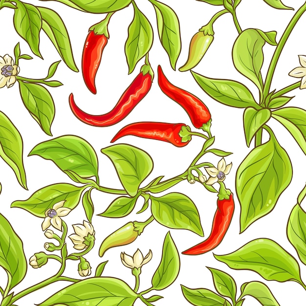 Cayenne pepper vector pattern