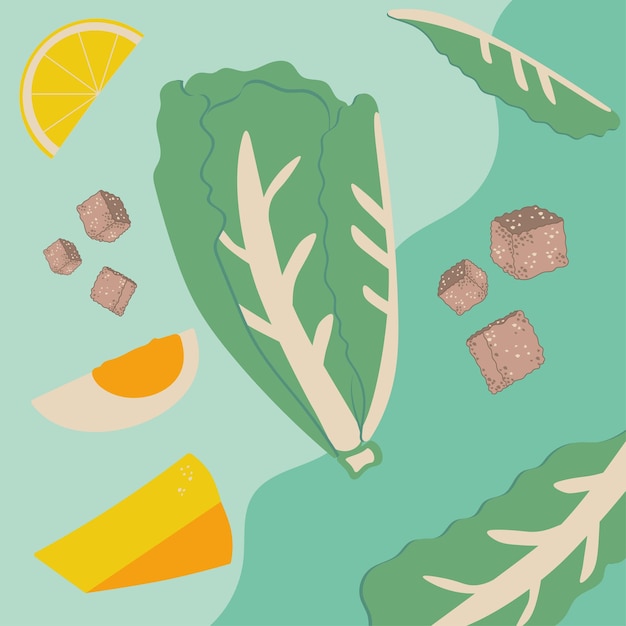 Ceasar salad illustration