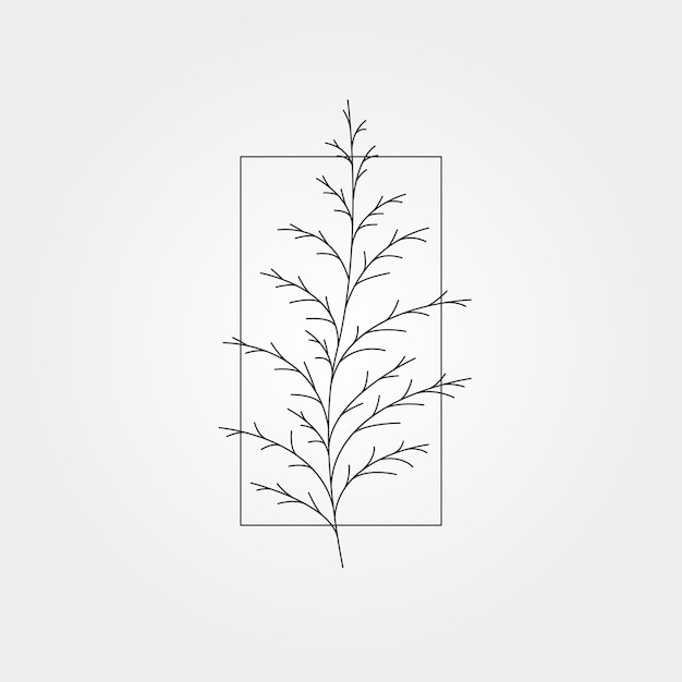 Vector cedar pine tree leaves minimal icon vector symbol illustration design, line art plant illustration design