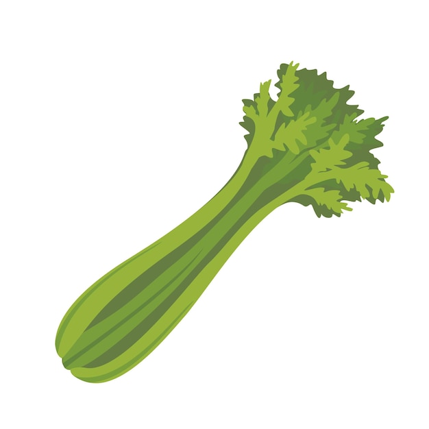 CELERY BUNCH