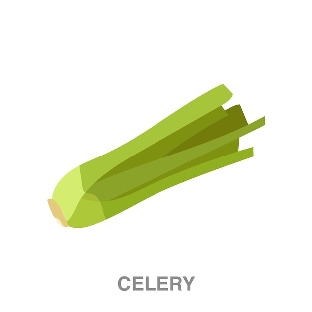 Celery illustration on transparent background