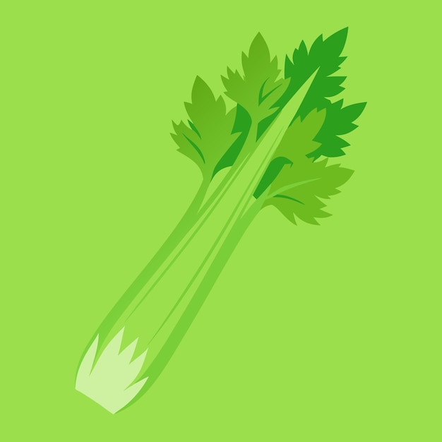 Vector celery leaf vegetable cartoon vector icon illustration food nature icon concept isolated premium