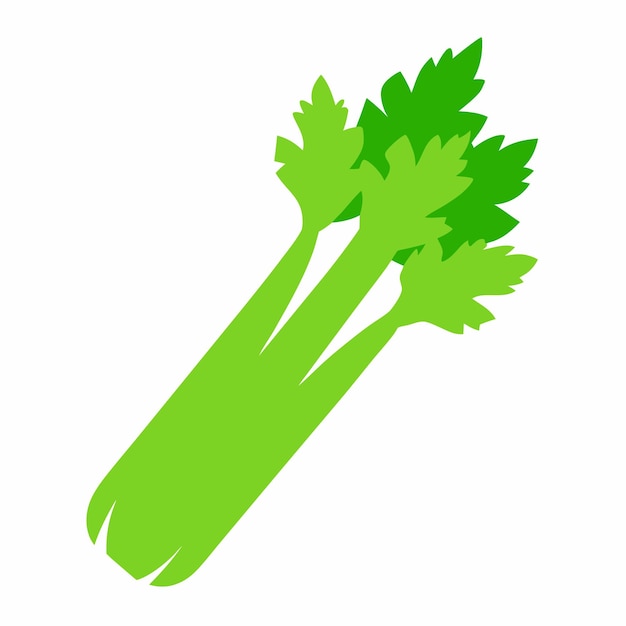 Vector celery vector design