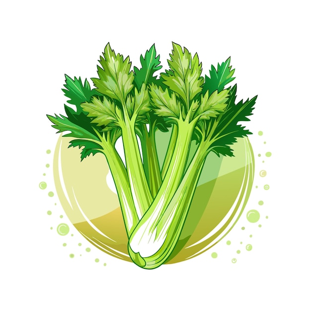 Celery on white background